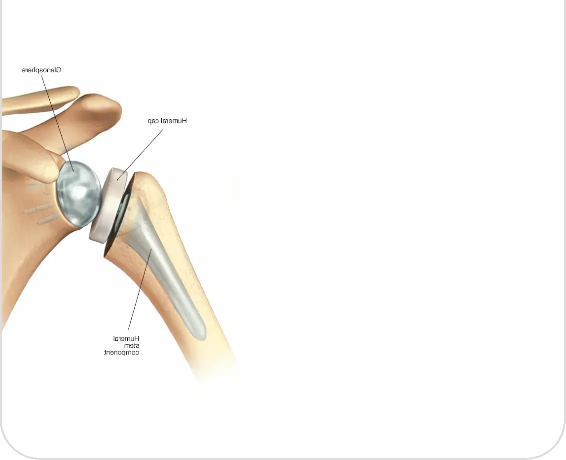 Jaipur Joints Orthopedic Clinic
